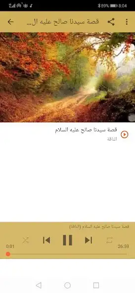 Play The story of Saleh, and the ca as an online game The story of Saleh, and the ca with UptoPlay