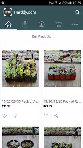 Play The Succulent Marketplace