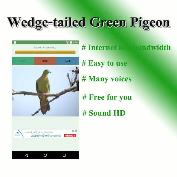 Play The tail bird shovels sound to birds. as an online game The tail bird shovels sound to birds. with UptoPlay