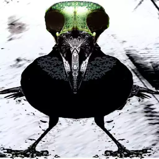 Play The Tarot of Dead Birds APK Play The Tarot of Dead Birds APK