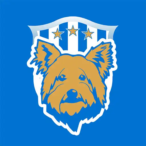 Play The Terriers - Live Scores APK