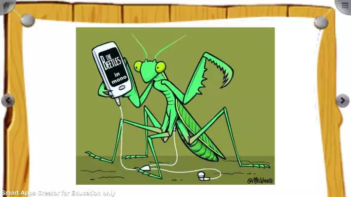 Play The theory of everything