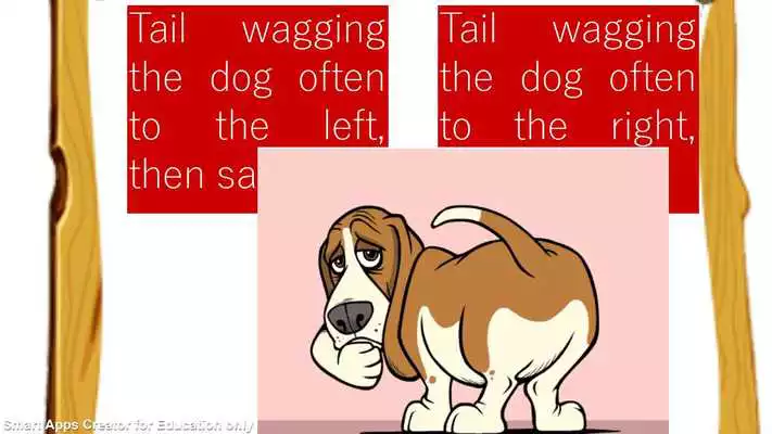 Play The theory of everything