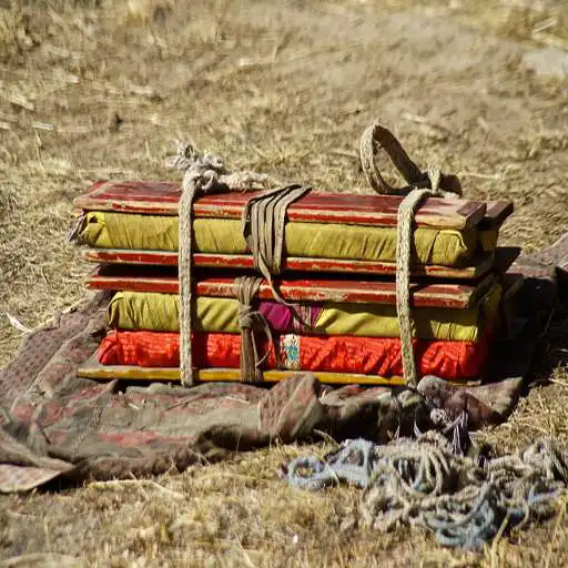 Play The Tibetan Translation Tool APK