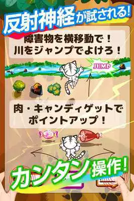 Play The Tiger Runner