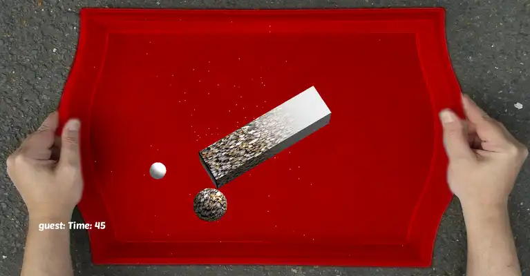 Play The Tray (Tilt Control)