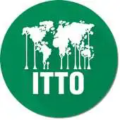 Free play online The Tropical Forest Update APK