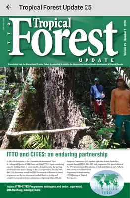 Play The Tropical Forest Update Play The Tropical Forest Update