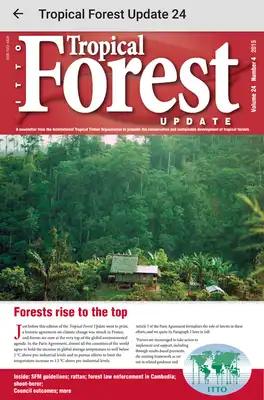 Play The Tropical Forest Update Play The Tropical Forest Update