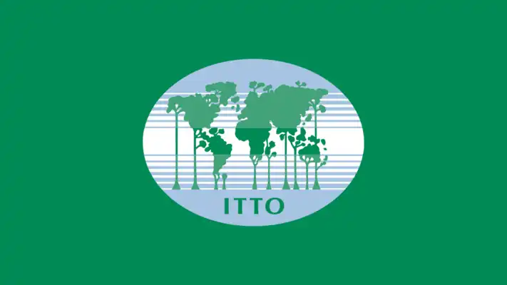 Play The Tropical Forest Update Play The Tropical Forest Update