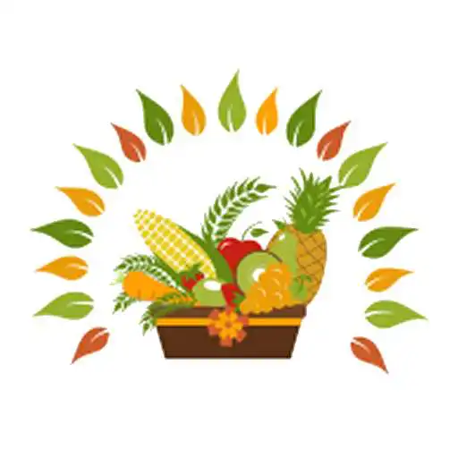 Play The Vegetable Basket APK Play The Vegetable Basket APK