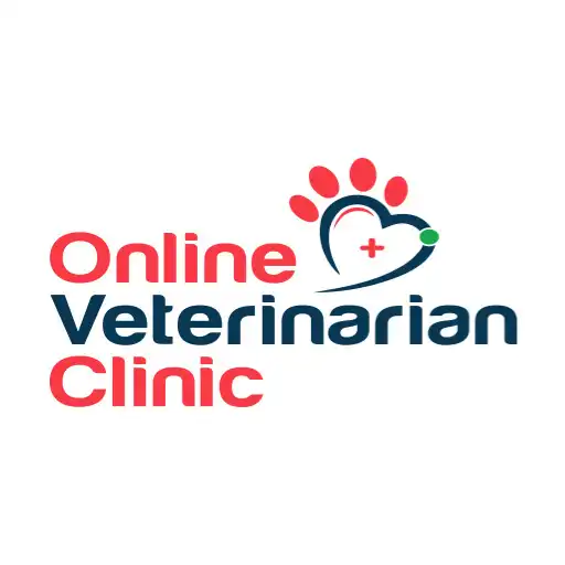 Play The Vet Clinic APK