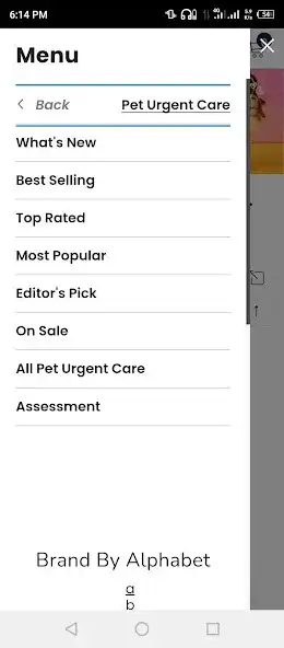 Play The Vet Clinic as an online game The Vet Clinic with UptoPlay
