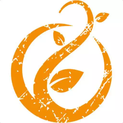 Play The Vine Church - TX APK Play The Vine Church - TX APK