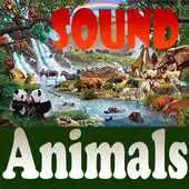 Free play online The Voice Of Animals APK Free play online The Voice Of Animals APK
