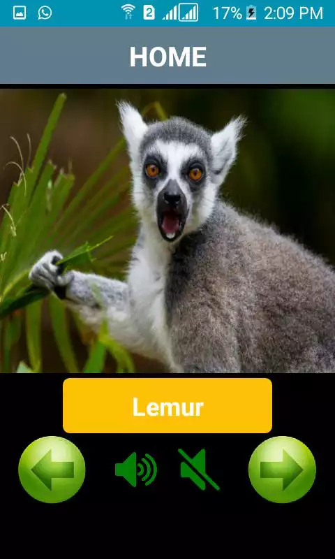 Play The Voice Of Animals