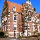 Free play online The Walking Dead Zombie APK