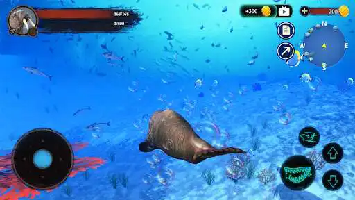 Play The Warlus  and enjoy The Warlus with UptoPlay