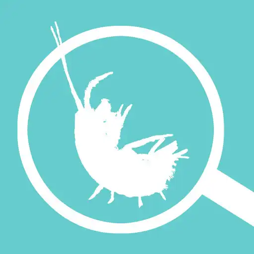 Play The Waterbug App APK Play The Waterbug App APK