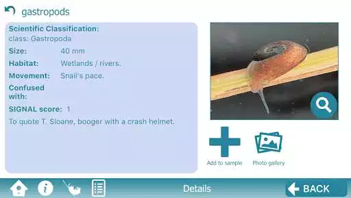Play The Waterbug App as an online game The Waterbug App with UptoPlay
