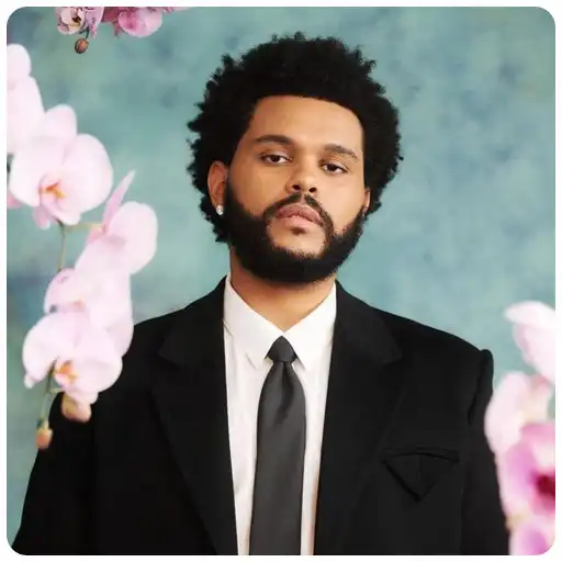 Free play online The Weeknd Wallpaper HD APK