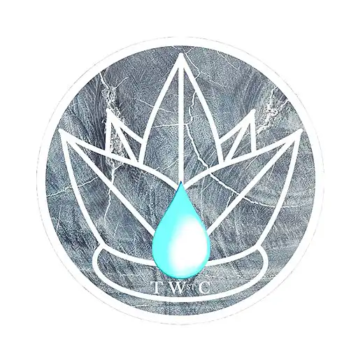 Play The Wicklow Street Clinic APK