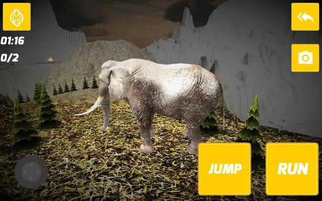 Play The Wild Elephant Play The Wild Elephant