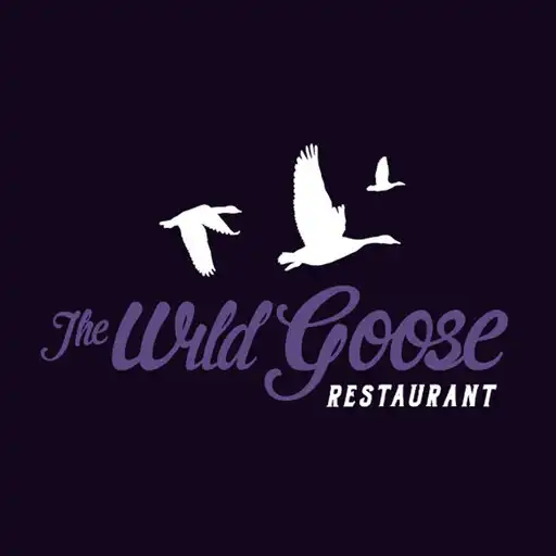 Play The Wildgoose APK