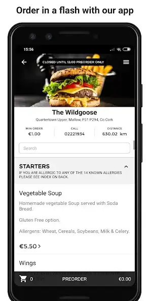 Play The Wildgoose  and enjoy The Wildgoose with UptoPlay