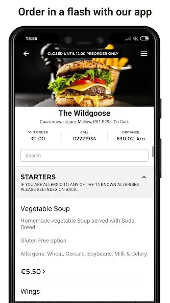 Play The Wildgoose as an online game The Wildgoose with UptoPlay