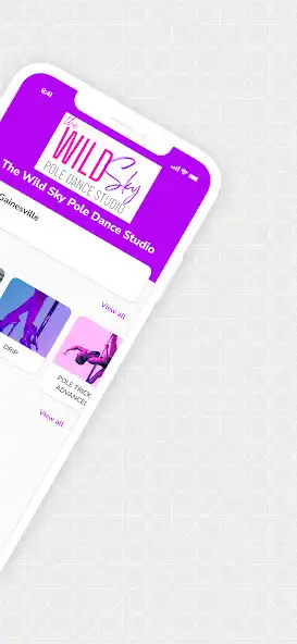 Play The Wild Sky Pole Dance Studio as an online game The Wild Sky Pole Dance Studio with UptoPlay