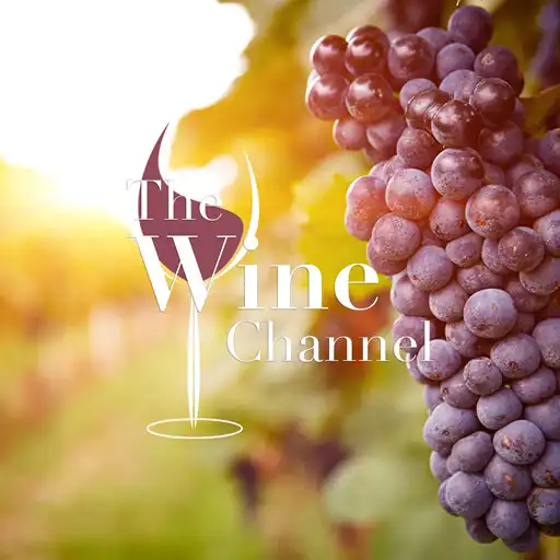 Play The Wine Channel APK