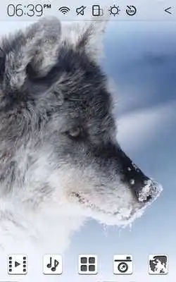 Play The Wolf Atom theme