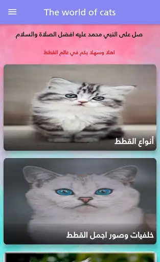 Play The world of cats  and enjoy The world of cats with UptoPlay
