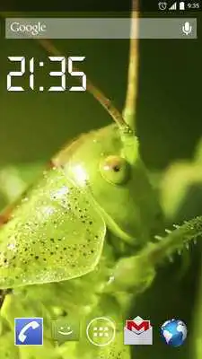Play The world of Insect Live WP