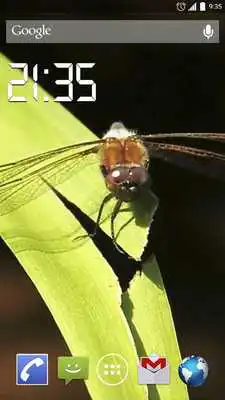 Play The world of Insect Live WP