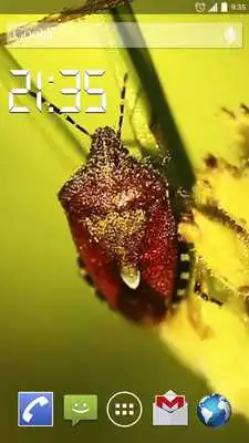 Play The world of Insect Live WP
