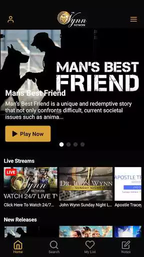 Play The Wynn Network  and enjoy The Wynn Network with UptoPlay