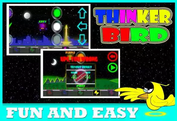 Play Thinker Bird - IQ Test