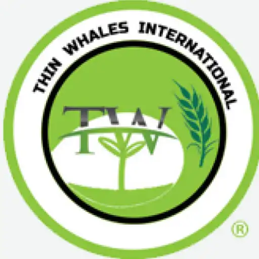 Play Thinwhales International APK
