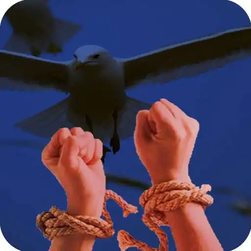 Play Thirty years a slave offline APK Play Thirty years a slave offline APK