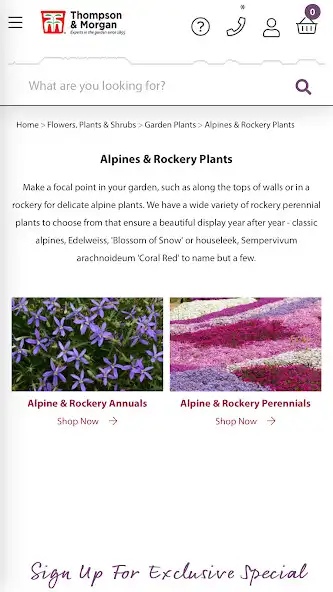 Play Thompson  Morgan  and enjoy Thompson  Morgan with UptoPlay