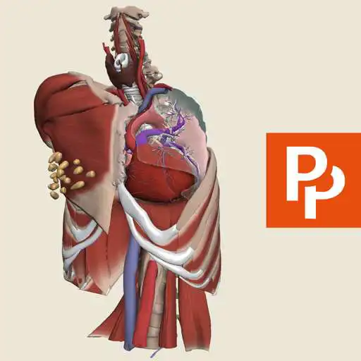 Free play online Thorax: 3D RT - Sub APK Free play online Thorax: 3D RT - Sub APK