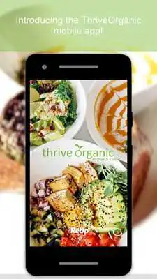 Play Thrive Organic Kitchen  Cafe