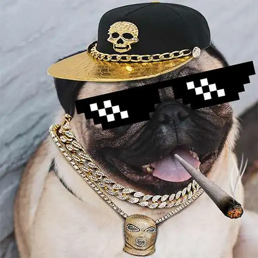 Play Thug Life Picture Editor APK Play Thug Life Picture Editor APK