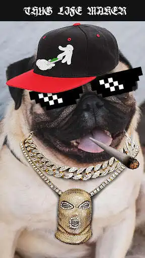 Play Thug Life Picture Editor  and enjoy Thug Life Picture Editor with UptoPlay