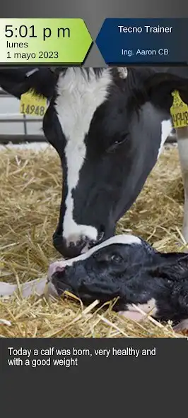 Play ThunderCam Foto Evidencias as an online game online ThunderCam Foto Evidencias with UptoPlay Play ThunderCam Foto Evidencias as an online game ThunderCam Foto Evidencias with UptoPlay