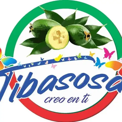 Play tibasosa APK