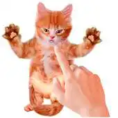 Free play online Tickle Talking Cat APK