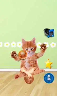 Play Tickle Talking Cat Play Tickle Talking Cat